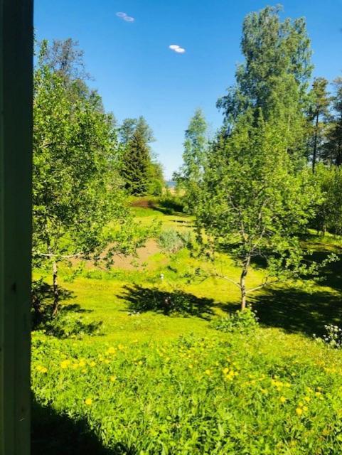 Altja Villa-Cottage With Sauna Екстер'єр фото